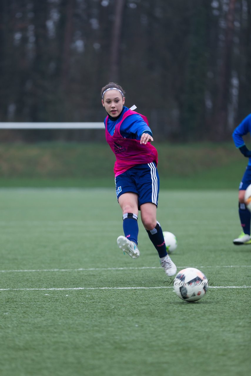 Bild 134 - B-Juniorinnen Harburger TB - HSV : Ergebnis: 1:3